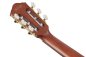 Preview: Ibanez FRH20SMN-TCL